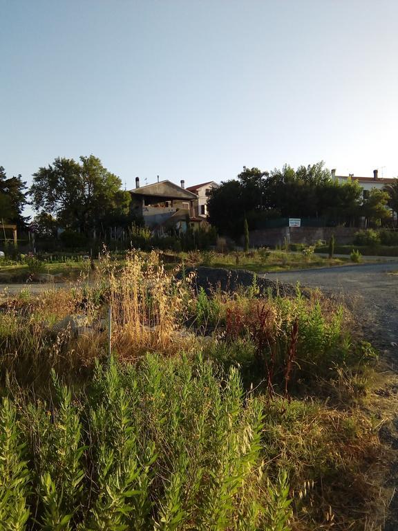Carlo'S Country House Castellina Marittima Exterior foto